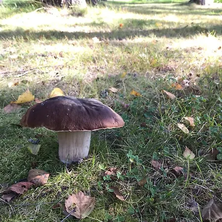 Salonsaaren Lomakylae Lejlighed